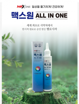 맥스원 ALL IN ONE