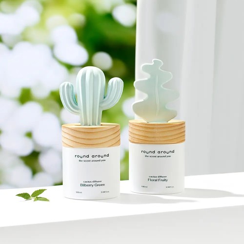 [향인테리어]라운드어라운드 선인장 디퓨저 2종 택1
