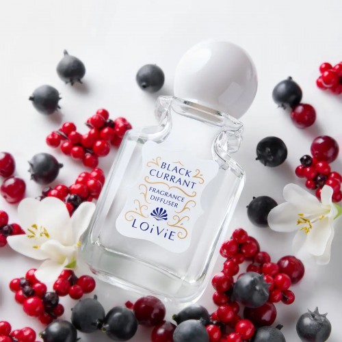 [NEW] 로이비 프래그런스 디퓨저 미니 블랙커런트 100ml 세트 (+스틱)